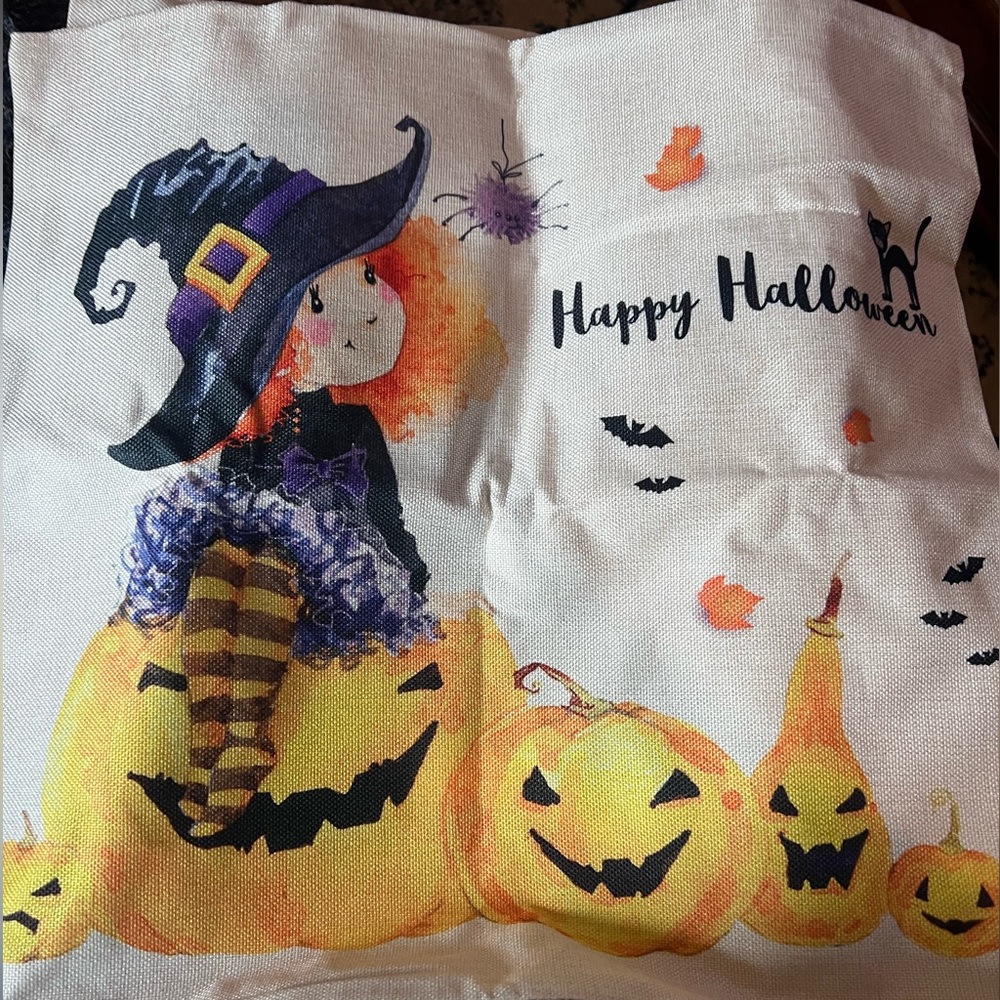 4 pack - 20 x 20 Halloween pillow cover